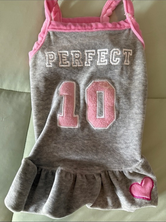 Other - Gray & Pink Sleeveless Pet Dress with '10' Applique
